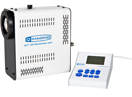 LED ׹Դ LED Light Source for Easy Fluorescence Imaging